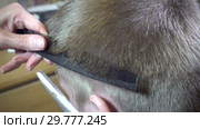 Close up of a hairstyle of the man the machine for a hairstyle of hair the hairdresser. Стоковое видео, видеограф Куликов Константин / Фотобанк Лори