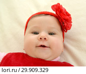 Портрет шестимесячной девочки с красным цветком на голове. Стоковое фото, фотограф Ирина Борсученко / Фотобанк Лори