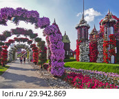 Парк цветов в Дубае (Dubai Miracle Garden). Объединённые Арабские Эмираты (2014 год). Редакционное фото, фотограф Сергей Афанасьев / Фотобанк Лори
