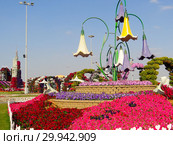 Парк цветов в Дубае (Dubai Miracle Garden). Объединённые Арабские Эмираты (2014 год). Редакционное фото, фотограф Сергей Афанасьев / Фотобанк Лори