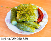 Соленые огурцы, острый перец, укроп и чеснок на тарелке, бочковые. Стоковое фото, фотограф Дудакова / Фотобанк Лори