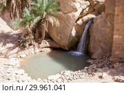 Небольшой водопад в оазисе Chebika (Шебика), в горах Djebel el Negueb, вилайет Таузар (Tozeur), Тунис, Африка (2012 год). Стоковое фото, фотограф Кекяляйнен Андрей / Фотобанк Лори