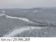 Amazing Wild Olanga River In Frozen Forest. Really Snowly Winter On The North. Aerial,  Paanajärvi, Karelia, Russia. Стоковое фото, фотограф Кирилл Трифонов / Фотобанк Лори