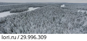 Amazing Wild Olanga River In Frozen Forest. Really Snowly Winter On The North. Aerial,  Paanajärvi, Karelia, Russia. Стоковое фото, фотограф Кирилл Трифонов / Фотобанк Лори