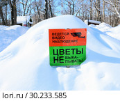 Табличка на занесенном снегом  газоне "Ведется видеонаблюдение. Цветы не выкапывать!" (2019 год). Стоковое фото, фотограф Светлана Кириллова / Фотобанк Лори