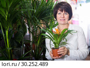 Customer choosing bromelia. Стоковое фото, фотограф Яков Филимонов / Фотобанк Лори