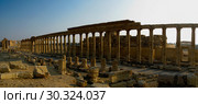 Panorama of Palmyra columns and ancient city, destroyed now, Syria (2011 год). Стоковое фото, фотограф Сергей Майоров / Фотобанк Лори