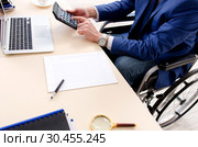 Aged employee in wheelchair working in the office. Стоковое фото, фотограф Elnur / Фотобанк Лори