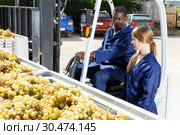 Engineers checking delivered grapes harvest. Стоковое фото, фотограф Яков Филимонов / Фотобанк Лори