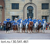 Развод караула у Королевского дворца. Стокгольм (2012 год). Редакционное фото, фотограф Александр Щепин / Фотобанк Лори
