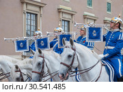 Развод караула у Королевского дворца. Стокгольм (2012 год). Редакционное фото, фотограф Александр Щепин / Фотобанк Лори