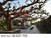 Greek Orthodox Monastery of the Holy Apostles at Capernaum, Israel (2019 год). Стоковое фото, фотограф Знаменский Олег / Фотобанк Лори