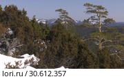 Уральские горы зимой. Морозный день. Куст можжевельника. Ural mountains in winter. Frosty day. Juniper bush. Стоковое видео, видеограф Евгений Романов / Фотобанк Лори