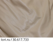 Кожа. Натуральная. Шкура. Стоковое фото, фотограф Дмитрий Козлов / Фотобанк Лори