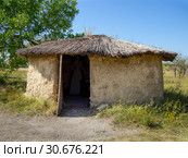 Мазанка с крышей из тростника, археологический парк "От кочевий к городам", Дивногорье, Воронежская область (2018 год). Редакционное фото, фотограф Вячеслав Палес / Фотобанк Лори