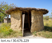 Саманная хижина с тростниковой крышей и плетеной дверью, археологический парк "От кочевий к городам", Дивногорье, Воронежская область (2018 год). Редакционное фото, фотограф Вячеслав Палес / Фотобанк Лори