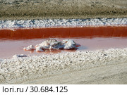 Кристаллы соли в красной воде. Акташское озеро. Республика Крым, Керченский полуостров, Ленинский район (2018 год). Стоковое фото, фотограф Щеголева Ольга / Фотобанк Лори