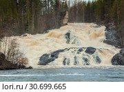 Водопад Гирвас в Карелии. Кондопожский район. Весенний сброс воды на Пальеозерской ГЭС. Стоковое фото, фотограф Сергей Цепек / Фотобанк Лори