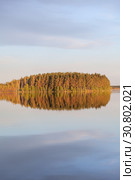 Amazing windless smooth surface of the lake. Forest in light of setting sun and clouds reflection on calm water. Karelia, Russia. Vertical image. Стоковое фото, фотограф Кекяляйнен Андрей / Фотобанк Лори