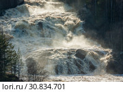 Водопад Гирвас в Карелии на реке Суна. Кондопожский район. Весенний сброс воды на Пальеозерской ГЭС. Стоковое фото, фотограф Сергей Цепек / Фотобанк Лори