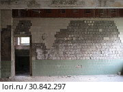 Балашиха, интерьер разрушенной бани на Флерова (2019 год). Редакционное фото, фотограф Дмитрий Неумоин / Фотобанк Лори