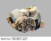 Conglomerate of morion, feldspar and mica crystals isolated on gray background. Стоковое фото, фотограф Евгений Харитонов / Фотобанк Лори