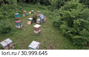 Горная пасека. Пчеловоды за работой. Вид с воздуха. Mountain apiary. Beekeepers at work. Aerial view. Стоковое видео, видеограф Евгений Романов / Фотобанк Лори