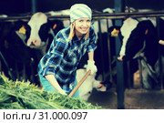 Female farmer collecting grass for cows. Стоковое фото, фотограф Яков Филимонов / Фотобанк Лори