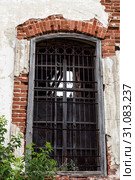 Sights of the Saratov region. Historical building in the Volga region of Russia 19th century 1872 year. A series of photos of an old abandoned ruined temple window of the church of St. Michael the Archangel in the village of Lough (2019 год). Стоковое фото, фотограф Светлана Евграфова / Фотобанк Лори