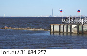 View from the bay to the skyscraper (2018 год). Редакционное видео, видеограф Aleksandr Sulimov / Фотобанк Лори