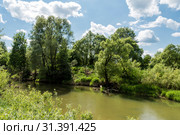 Река Выша (Пензенская область) Стоковое фото, фотограф Владимир Федечкин / Фотобанк Лори