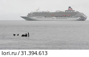 Japanese Touristic Cruise Liner Asuka II sails in Pacific Ocean (2019 год). Редакционное видео, видеограф А. А. Пирагис / Фотобанк Лори