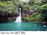 Mauritius. Small falls in "Valley of 23 colors of the Earth" park in Mare-aux-Aiguilles. Стоковое фото, фотограф Куликов Константин / Фотобанк Лори
