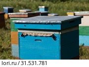 Горная пасека. Ульи на пасеке. Mountain apiary. Hives in the apiary. Стоковое фото, фотограф Евгений Романов / Фотобанк Лори