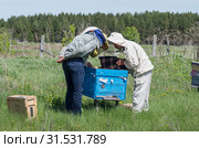 Горная пасека. Пчеловоды за работой. Mountain apiary. Beekeepers at work. (2019 год). Редакционное фото, фотограф Евгений Романов / Фотобанк Лори