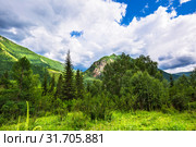 Горный пейзаж, видимый с Чуйского тракта. Кош-Агачский район, Республика Алтай, Россия. Стоковое фото, фотограф Евгений Мухортов / Фотобанк Лори