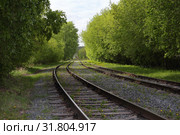 Железная дорога среди кленов. Промышленная ветка в КСМ. Стоковое фото, фотограф Анатолий Матвейчук / Фотобанк Лори
