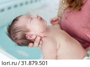 Newborn Caucasian baby fall into a deep sleep on female hands, throw back head. Стоковое фото, фотограф Кекяляйнен Андрей / Фотобанк Лори