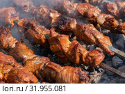 Шашлыки из мяса жарятся на мангале. Стоковое фото, фотограф А. А. Пирагис / Фотобанк Лори