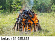 Горящий на поляне костёр. Birning campfire. Стоковое фото, фотограф Евгений Романов / Фотобанк Лори