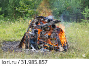 Горящий на поляне костёр. Birning campfire. Стоковое фото, фотограф Евгений Романов / Фотобанк Лори