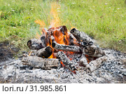 Горящий на поляне костёр. Birning campfire. Стоковое фото, фотограф Евгений Романов / Фотобанк Лори