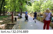 Кисловодск, Национальный парк "Кисловодский" (2019 год). Редакционное видео, видеограф Валерий Шилов / Фотобанк Лори