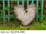 Ствол дерева в виде сердца. Необычное дерево. Любовь. Стоковое фото, фотограф Яковлев Сергей / Фотобанк Лори