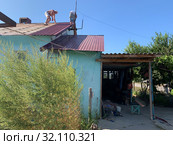 Монтаж кровли, кровельщики перекрывают крышу на здании. Стоковое фото, фотограф Кузнецов Максим / Фотобанк Лори