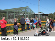 На экскурсии в зоопитомнике московского зоопарка в Сычево (2019 год). Редакционное фото, фотограф Сергей Соболев / Фотобанк Лори