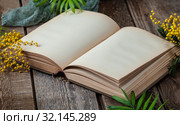 Opened book with blank pages on an old wooden table with mimosa flowers. Horizontal frame. Стоковое фото, фотограф Olesya Tseytlin / Фотобанк Лори