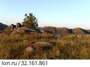 Вечер в горах Алтая у реки Чарыш. Стоковое фото, фотограф Free Wind / Фотобанк Лори