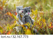 Игрушки. Вязаные коты сидят в болоте на кочке (2019 год). Редакционное фото, фотограф Dmitry29 / Фотобанк Лори