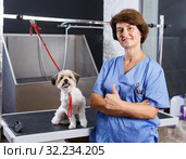 Female groomer with havanese puppy. Стоковое фото, фотограф Яков Филимонов / Фотобанк Лори
